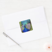 Kleurrijke Peafowl Stickers (Envelop)