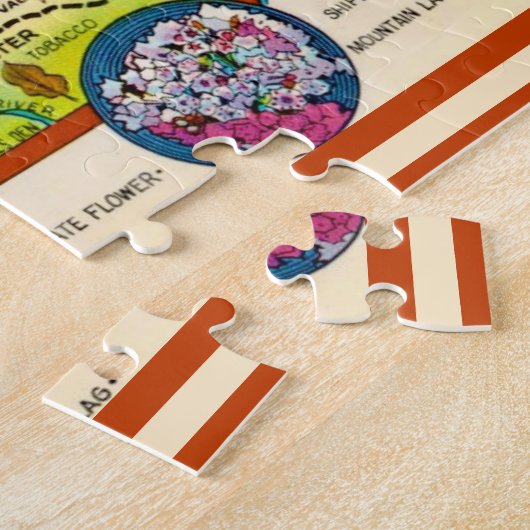 Kleurrijke Pennsylvania 11x14 kaartpuzzel Legpuzzel (Zijkant)