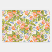Kleurrijke perziken met bloemen inpakpapier vel (Voorkant)
