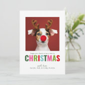 Kleurrijke Pet Dog Cat foto Kerst Kaart (Staand voorkant)