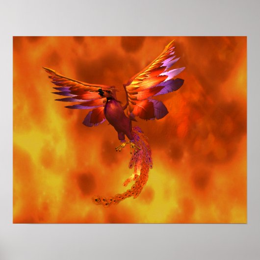 Kleurrijke Phoenix die tegen een vurige achtergron Poster (Voorkant)