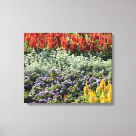Kleurrijke Planten Foto Afdruk schilderij Canvas Afdruk