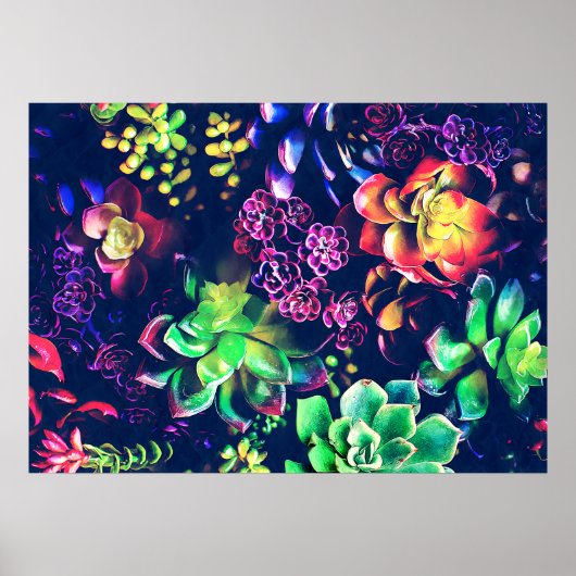 Kleurrijke Planten Poster (Voorkant)