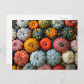 Kleurrijke pompoenen kalebassen en squash briefkaart (Voorkant / Achterkant)
