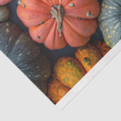 Kleurrijke pompoenen kalebassen en squash decoupag tissuepapier (Detail)