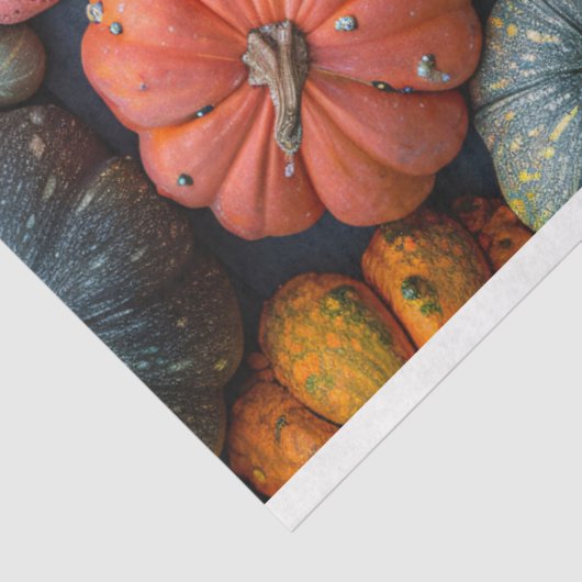 Kleurrijke pompoenen kalebassen en squash decoupag tissuepapier (Detail)