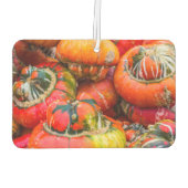 Kleurrijke pompoenen luchtverfrisser (Achterkant)