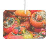 Kleurrijke pompoenen luchtverfrisser (Voorkant)
