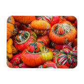 Kleurrijke pompoenen magneet (Horizontaal)