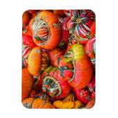 Kleurrijke pompoenen magneet (Verticaal)
