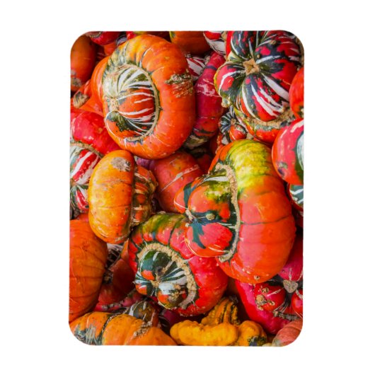 Kleurrijke pompoenen magneet (Verticaal)