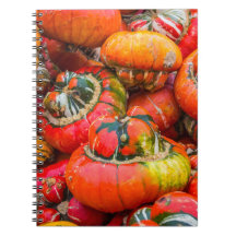 Kleurrijke pompoenen