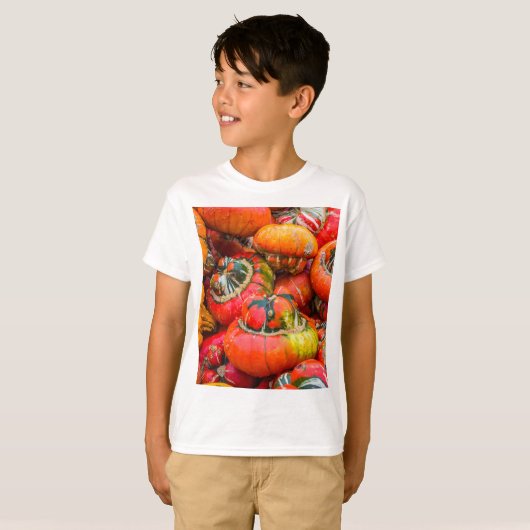 Kleurrijke pompoenen t-shirt (Voorkant volledig)