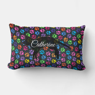 Kleurrijke poten kussen