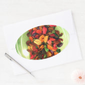 Kleurrijke potpourri: een geur-stationair display ovale sticker (Envelop)