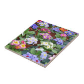 Kleurrijke primroesttuin tegeltje (Zijkant)