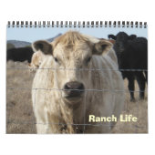 Kleurrijke rasdieren kalender (Hoes)