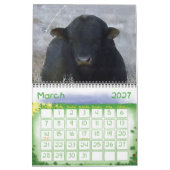 Kleurrijke rasdieren kalender (Mar 2027)