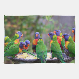 Kleurrijke Regenboog Lori Papegaaien Eten Theedoek
