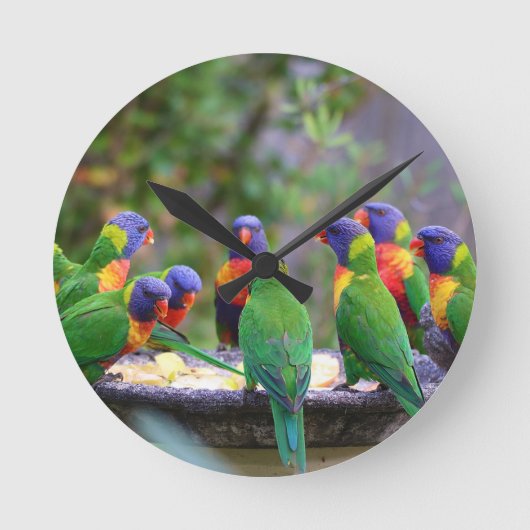 Kleurrijke Regenboog Lori's Papegaaien Eten Ronde Klok (Voorkant)
