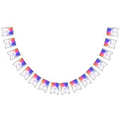 Kleurrijke regenboog Polygooneïde Mubarak-moskee Vlaggetjes (Alle)