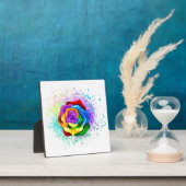 Kleurrijke Regenboog Roos Fotoplaat (Insitu)