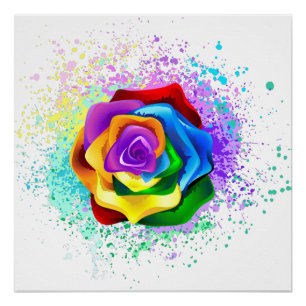 Kleurrijke Regenboog Roos Perfect Poster