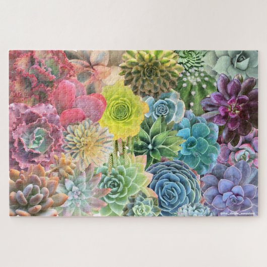 Kleurrijke regenboog Succulent Puzzle Legpuzzel (Horizontaal)