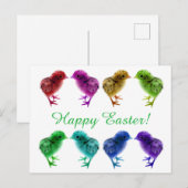 Kleurrijke regenboogkuikens briefkaart (Voorkant / Achterkant)
