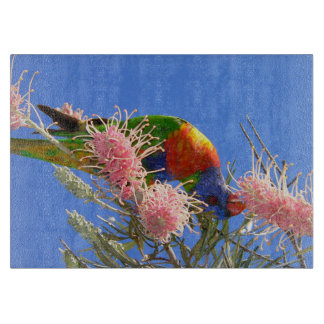 Kleurrijke Regenbooglori die Nectar Eet Snijplank
