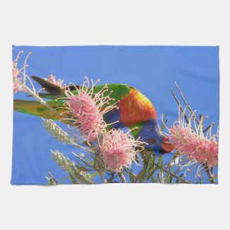 Kleurrijke Regenbooglori die Nectar Eet Theedoek