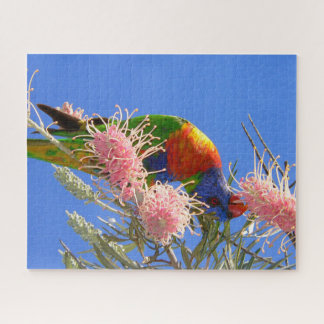 Kleurrijke Regenboogparkiet Vogel Eet Nectar Legpuzzel