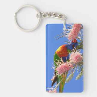 Kleurrijke Regenboogparkiet Vogel Eet Nectar Sleutelhanger