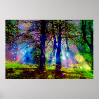 Kleurrijke Regenboombomen Betoverd Bos Poster