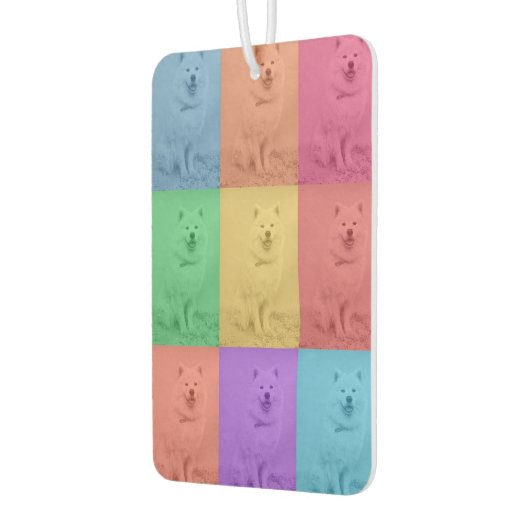 Kleurrijke Retro Pop Art Custom Dog Pet Photo Grid Luchtverfrisser (Links)