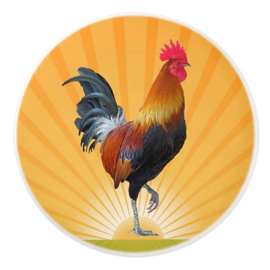 Kleurrijke, robuuste rooster Ontwerpkeramische kno Keramische Knop (Voorkant)