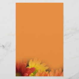 Kleurrijke rode, gele en oranje margrietbloemen. briefpapier