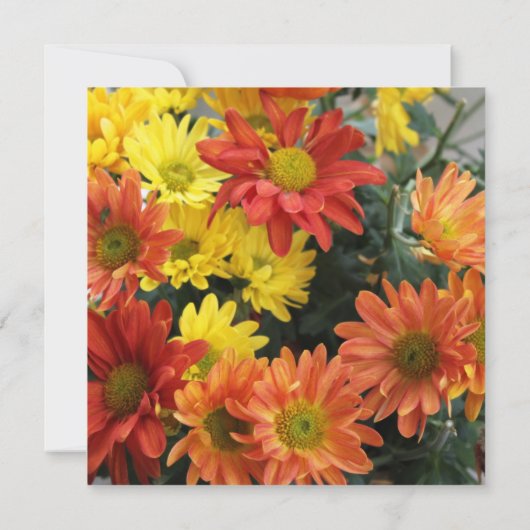 Kleurrijke rode, gele, oranje dagbloemen bruiloft kaart (Achterkant)