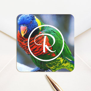 Kleurrijke rode groene blauwe lorikit vogel monogr vierkante sticker