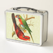 Kleurrijke rode & groene papegaaien illustratie (Achterkant)