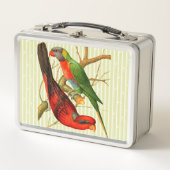 Kleurrijke rode & groene papegaaien illustratie (Voorkant)