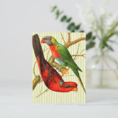 Kleurrijke  rode & groene papegaaien illustratie briefkaart (Staand voorkant)