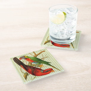 Kleurrijke  rode & groene papegaaien illustratie glazen onderzetter