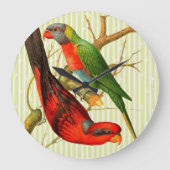 Kleurrijke  rode & groene papegaaien illustratie grote klok (Voorkant)