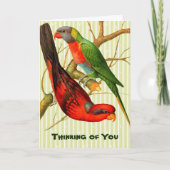 Kleurrijke rode & groene papegaaien illustratie kaart (Voorkant)