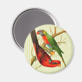 Kleurrijke rode & groene papegaaien illustratie magneet (Voorkant / Achterkant)