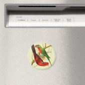 Kleurrijke rode & groene papegaaien illustratie magneet (Insitu (Vaatwasser))