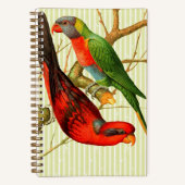 Kleurrijke  rode & groene papegaaien illustratie notitieboek (Voorkant)