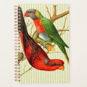 Kleurrijke  rode & groene papegaaien illustratie planner (Voorkant)