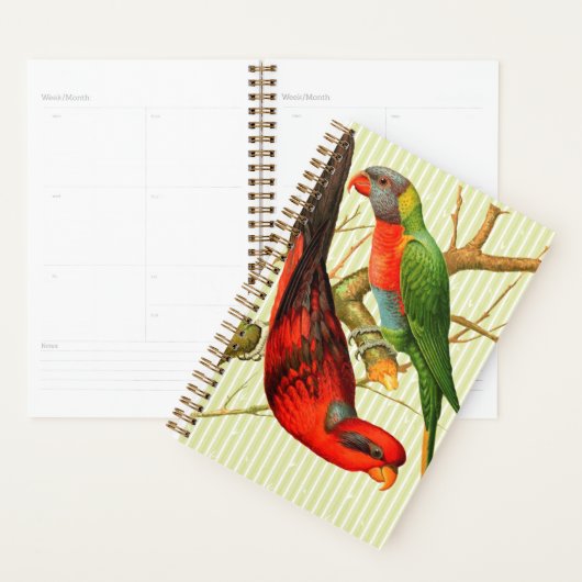Kleurrijke  rode & groene papegaaien illustratie planner (Display)